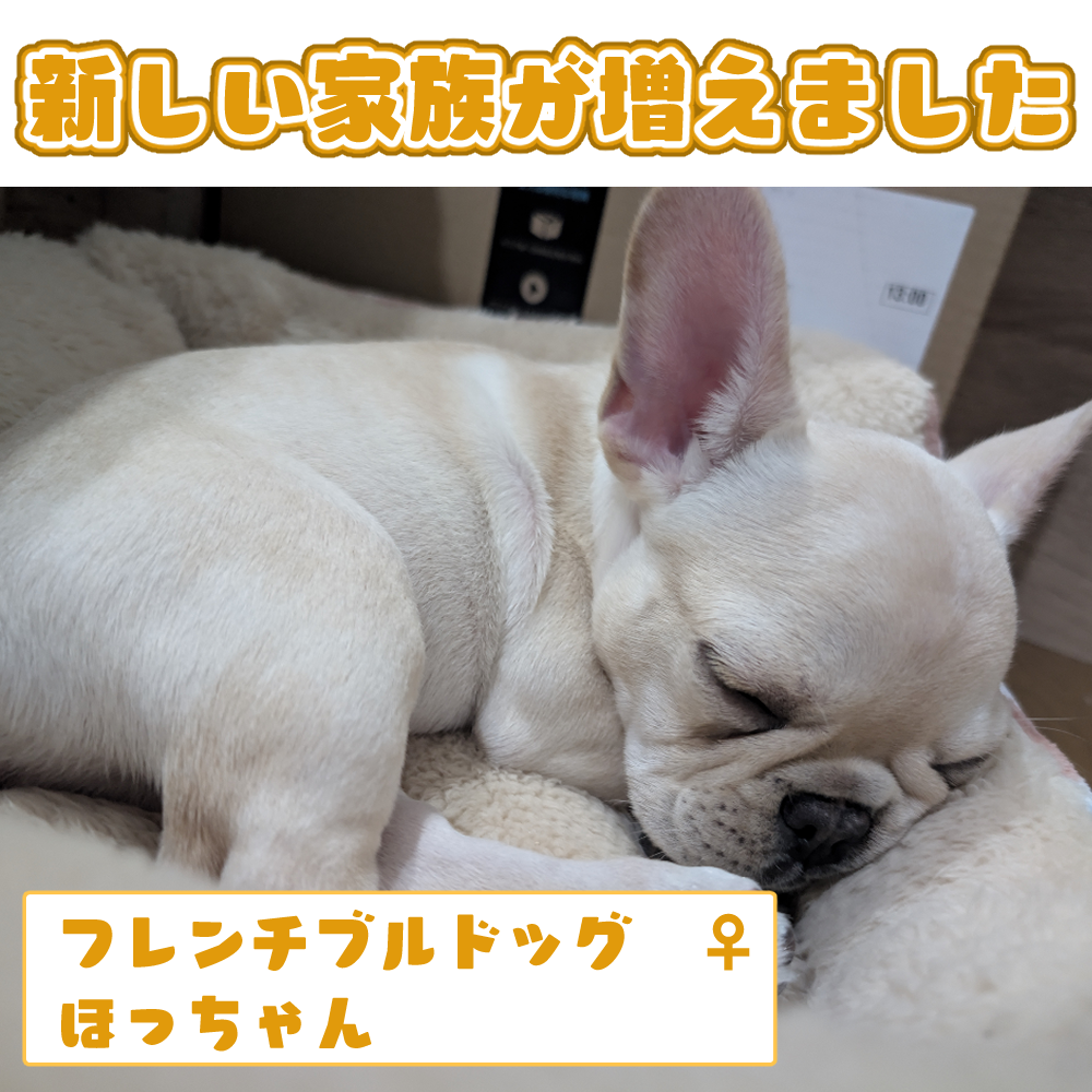 紹介画像.png
