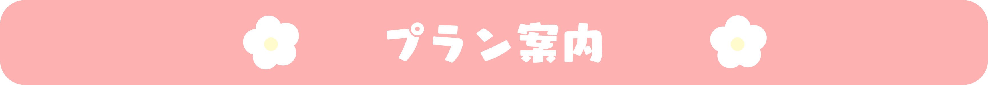 プラン案内.jpg