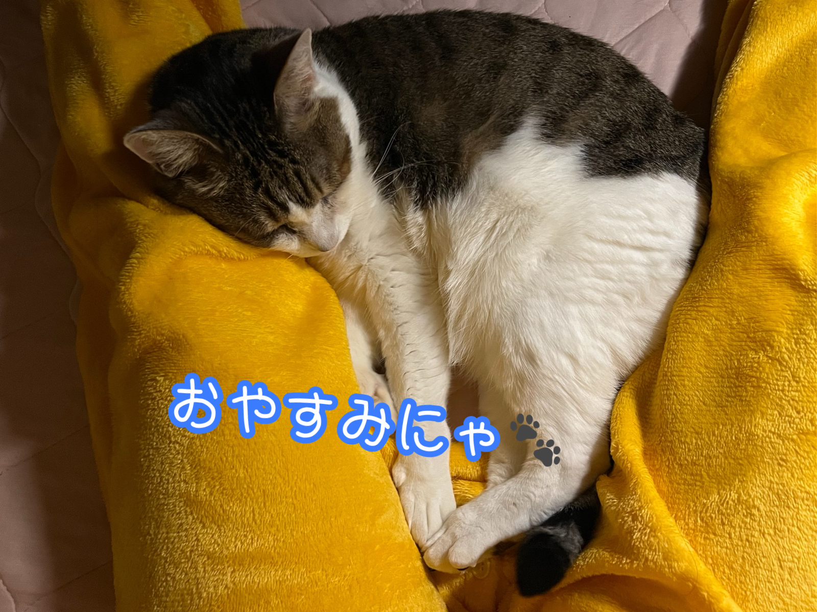 無題201_20250408210211.png