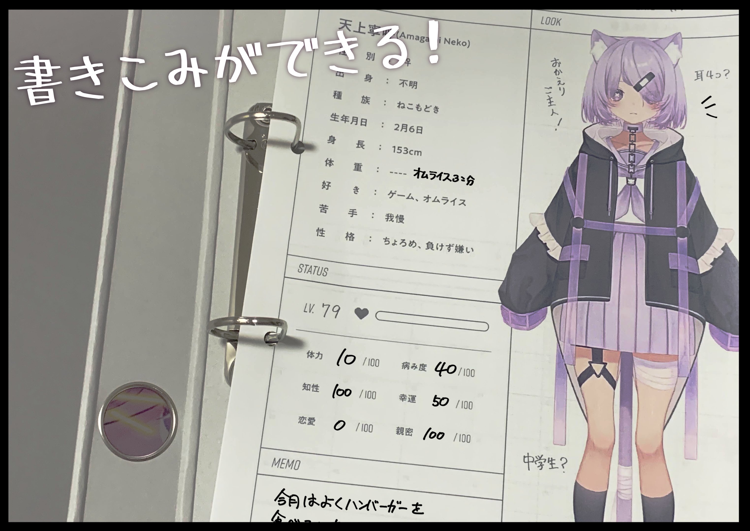 カルテ中身.jpg