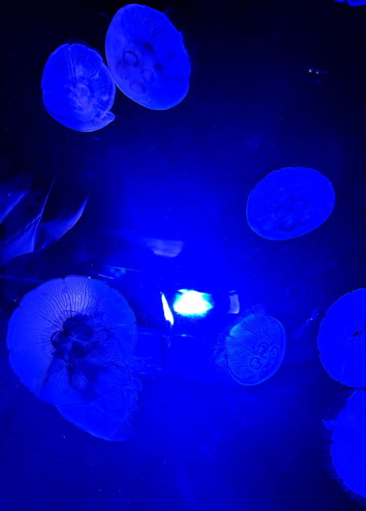 無題107_20251111132915.png