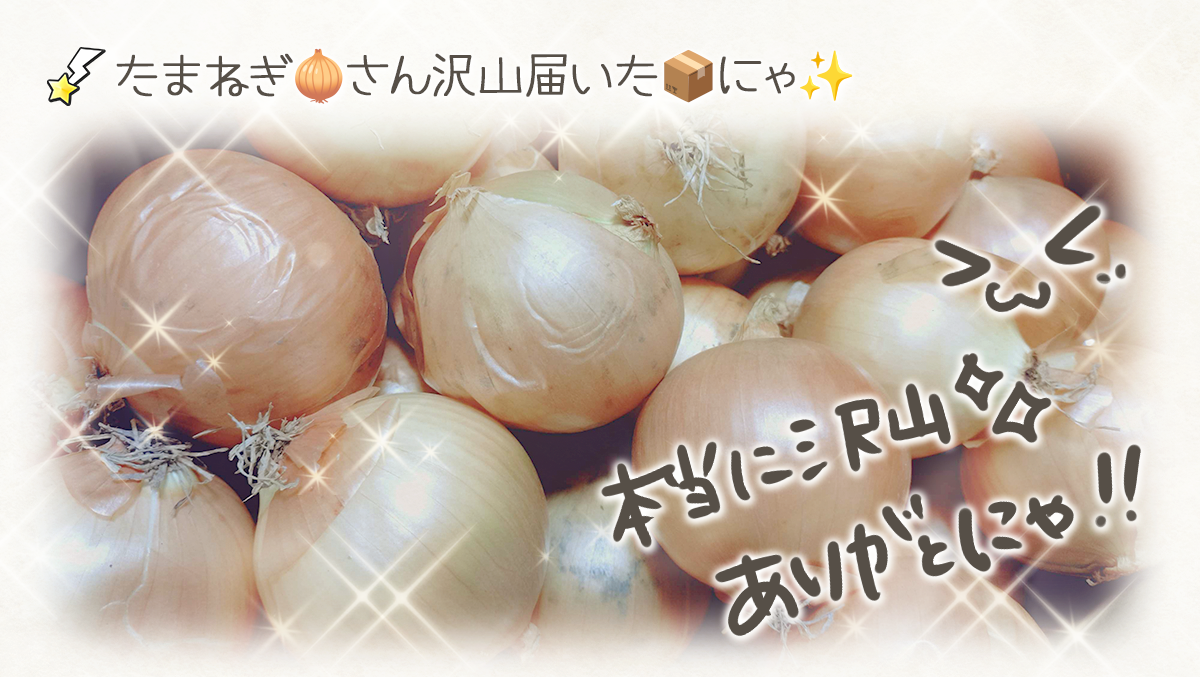 20260226_1.png