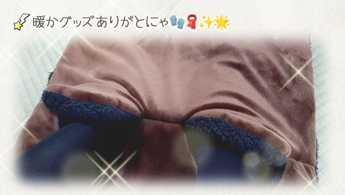 20260129_6.png