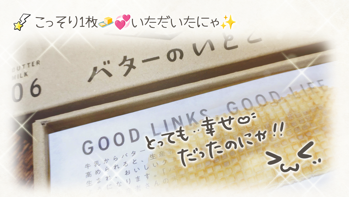 20260218-2.png