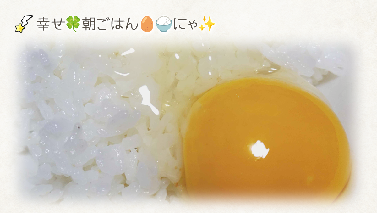 20260218-3.png