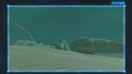 風のさかなの化石?.jpg