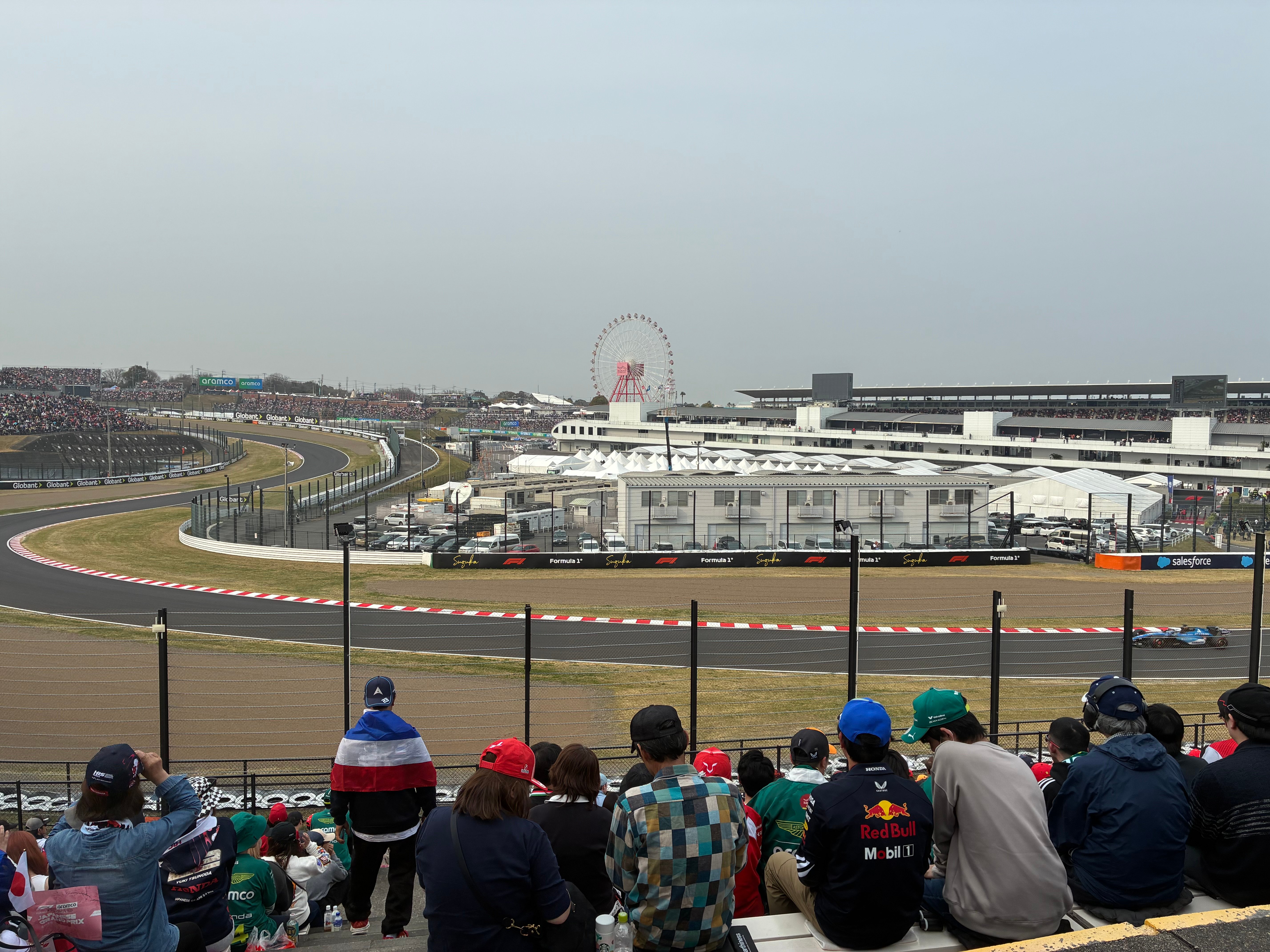 IMG_9172.jpeg