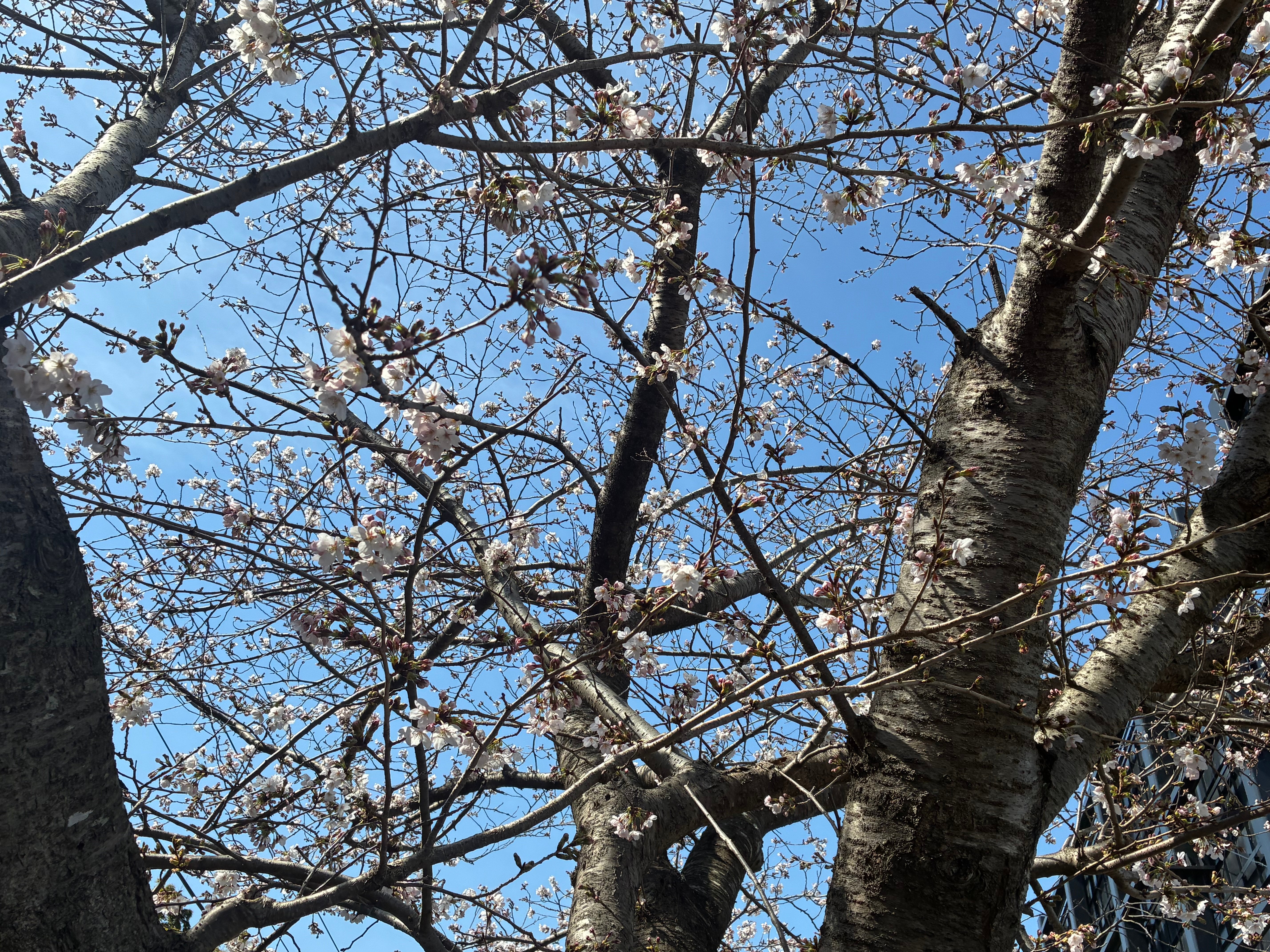 IMG_9151.jpeg