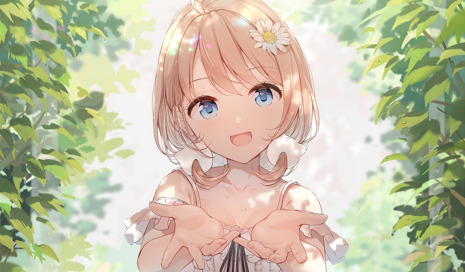 小花衣もみじ_木漏れ日.jpg