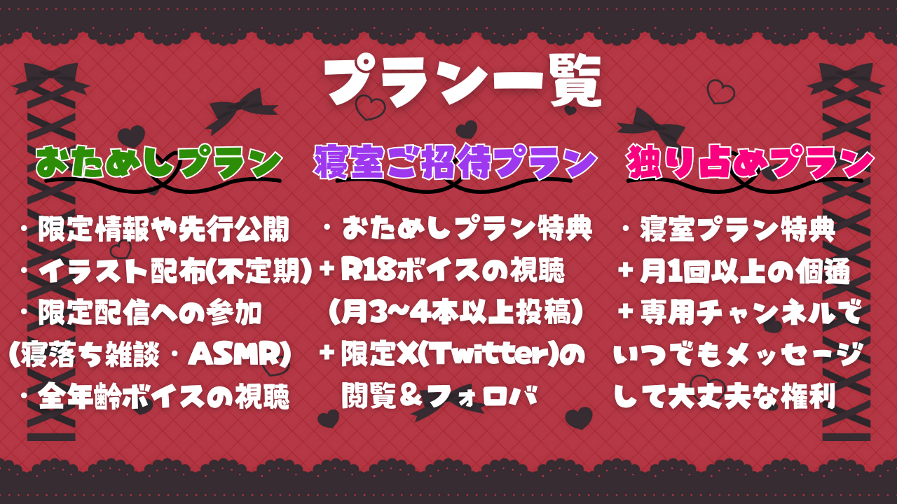 raidoriプラン.png