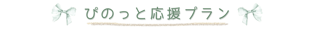 プラン紹介.png