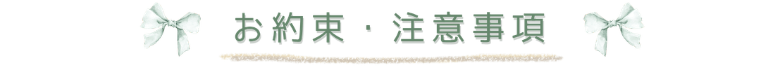 お約束注意事項.png