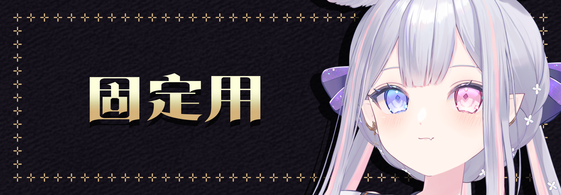 rd_kotei.png