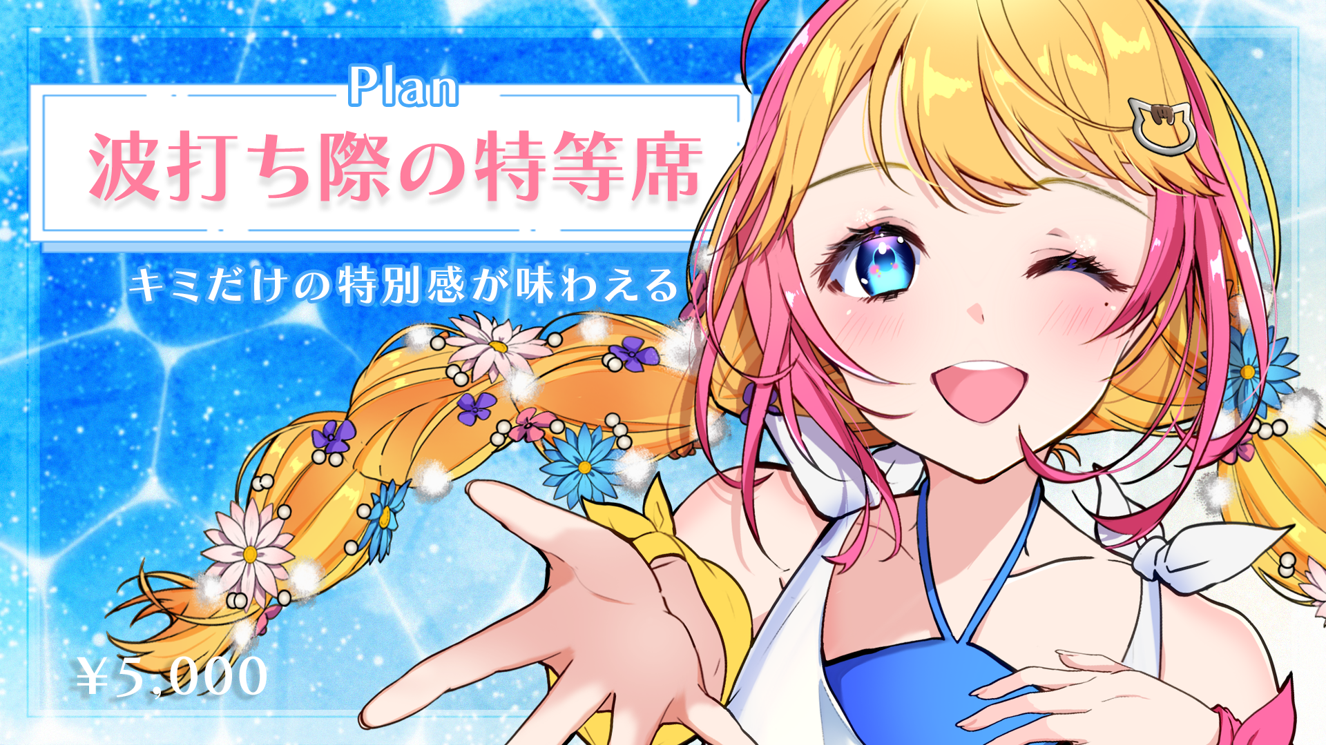 特等席プラン.png