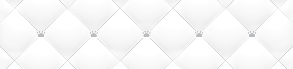 cover-image