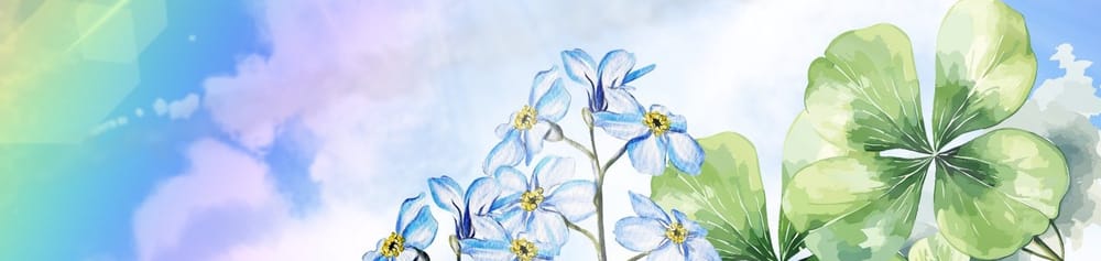 cover-image