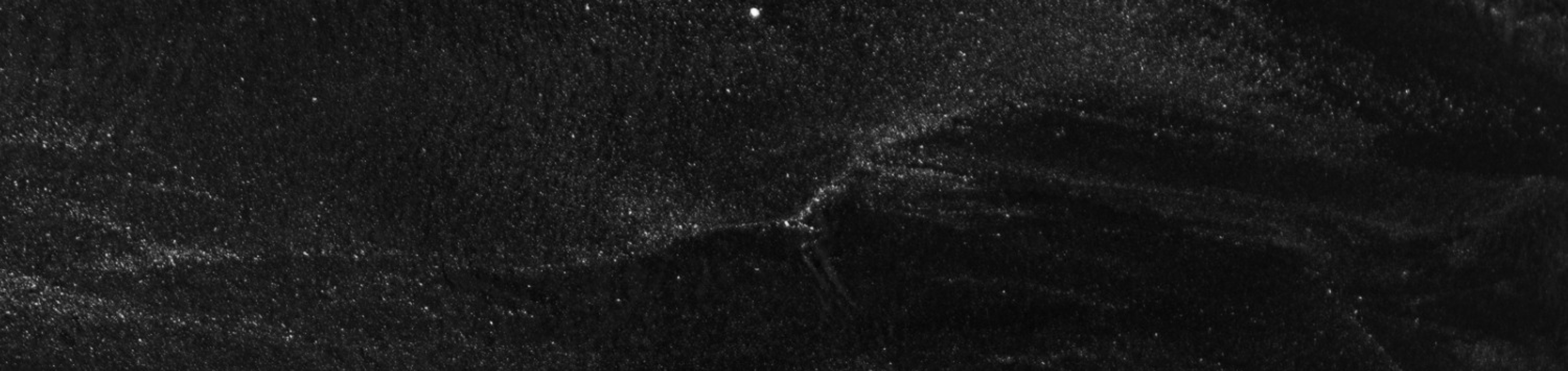 cover-image