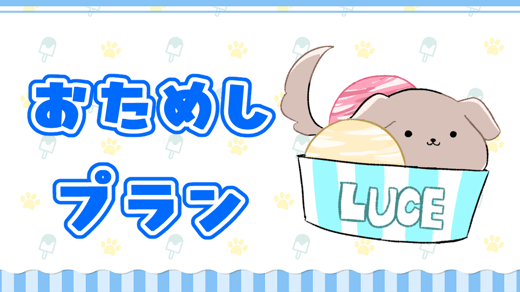 おためしプラン