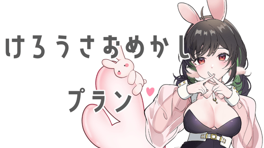 けろうさおめかしプラン