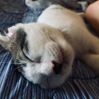icon-account