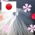 icon-account